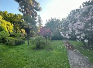 CASAS EN LINARES 15 CL14
