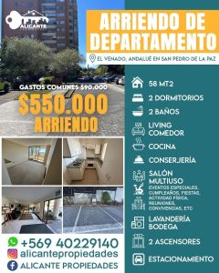 ArriendoDeptoSPDLP2