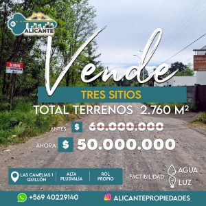 Imagen de WhatsApp 2025 06 07 a las 20.36.07 8ad3de06