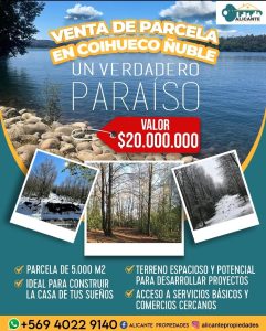 ParcelaCoihueco