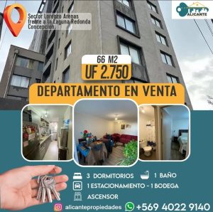 VentadeptoLzoArenas